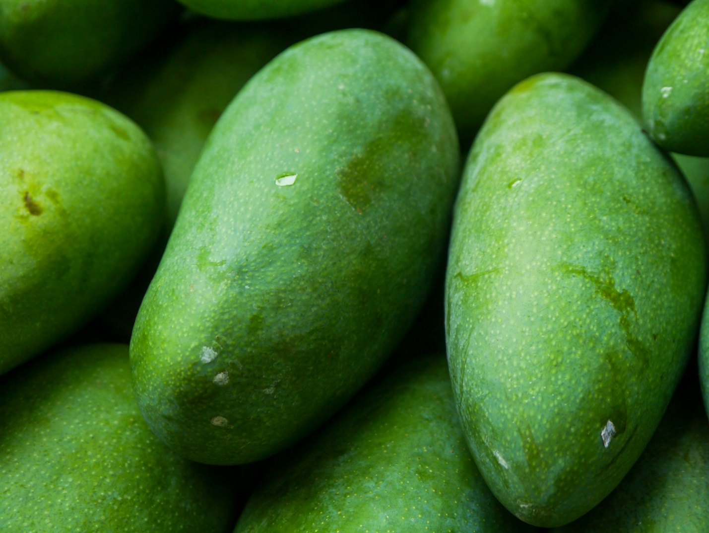 A pile of green mangoes sitting next to each other