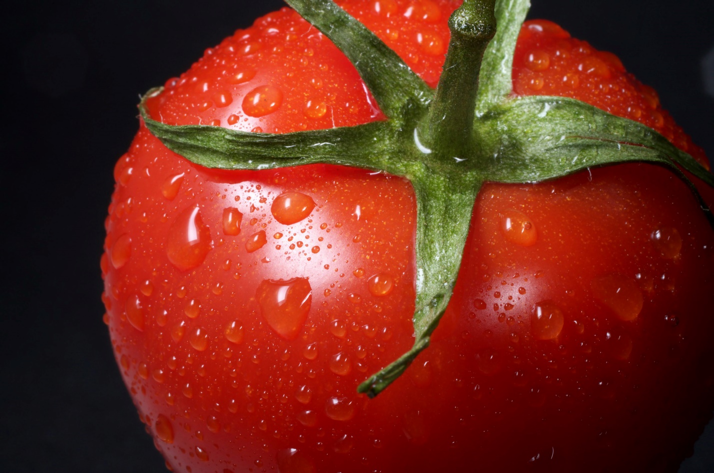 closeup photo of red tomato against black background