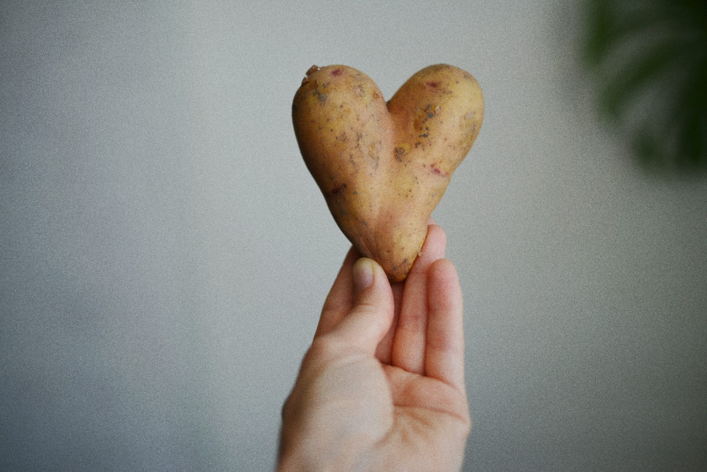 A person holding a heart shaped cookie in their hand